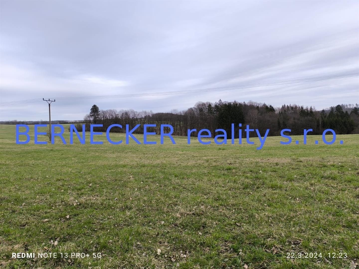 Prodej zemědělský pozemek - Seč, 8 395 m²