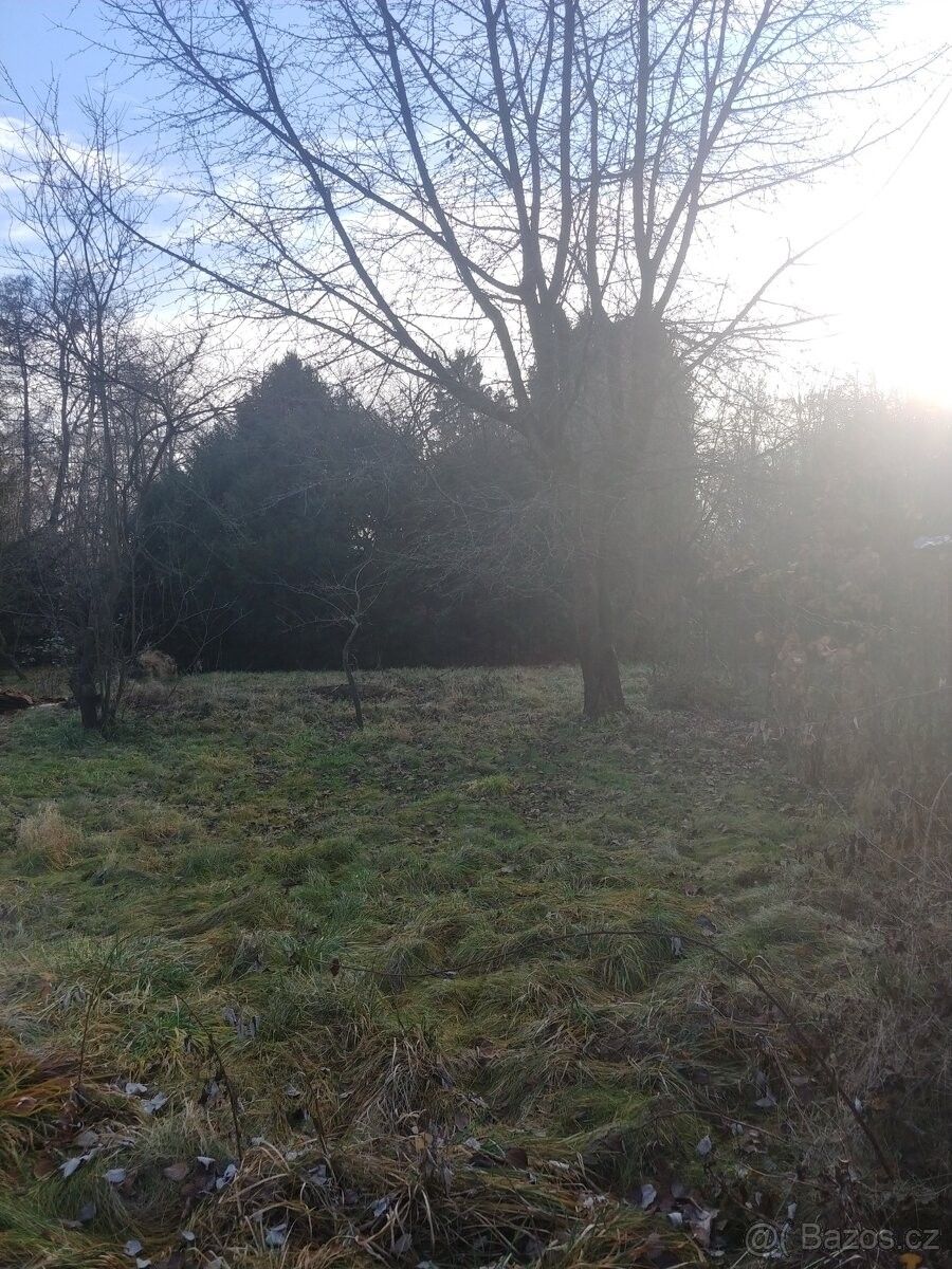 Zahrady, České Budějovice, 370 01