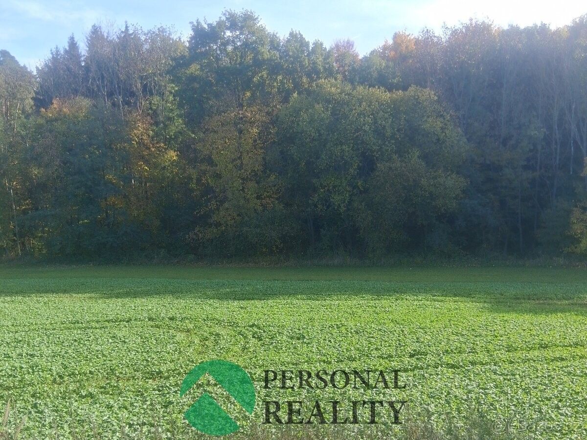 Pozemky pro bydlení, Český Brod, 282 01