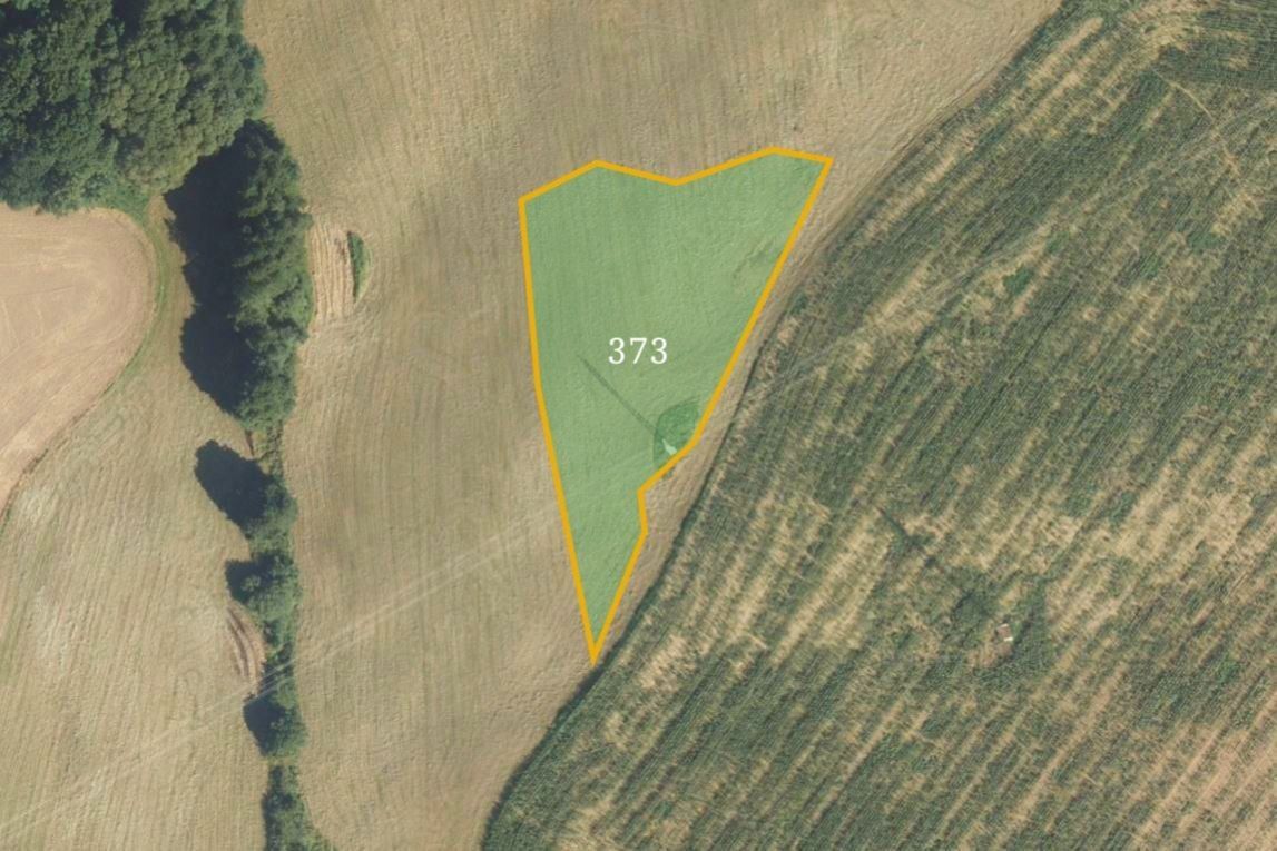 Prodej louka - Třemošnice, 26 390 m²