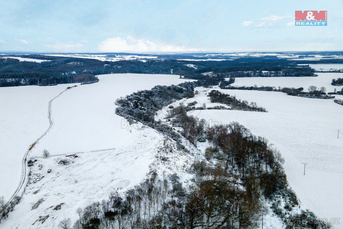 Zemědělské pozemky, Pernarec, 330 36, 12 887 m²