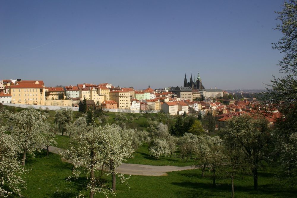 Restaurace, Praha, 169 00, 900 m²