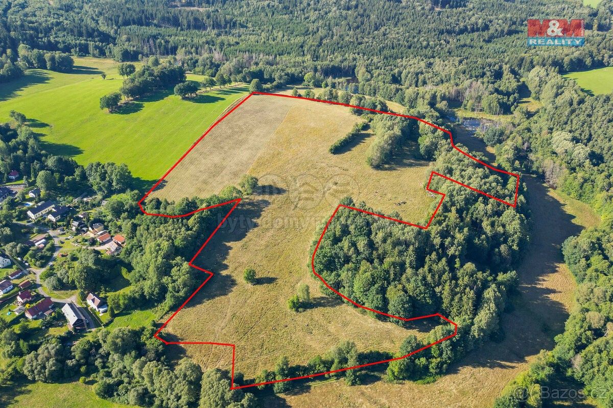 Prodej zemědělský pozemek - Přimda, 348 06, 368 562 m²