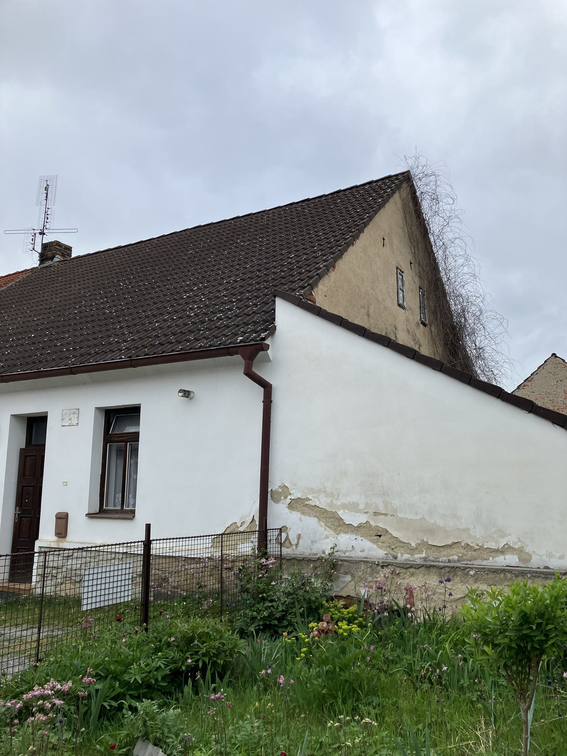 Prodej dům - Nádražní, Sedlice, 130 m²