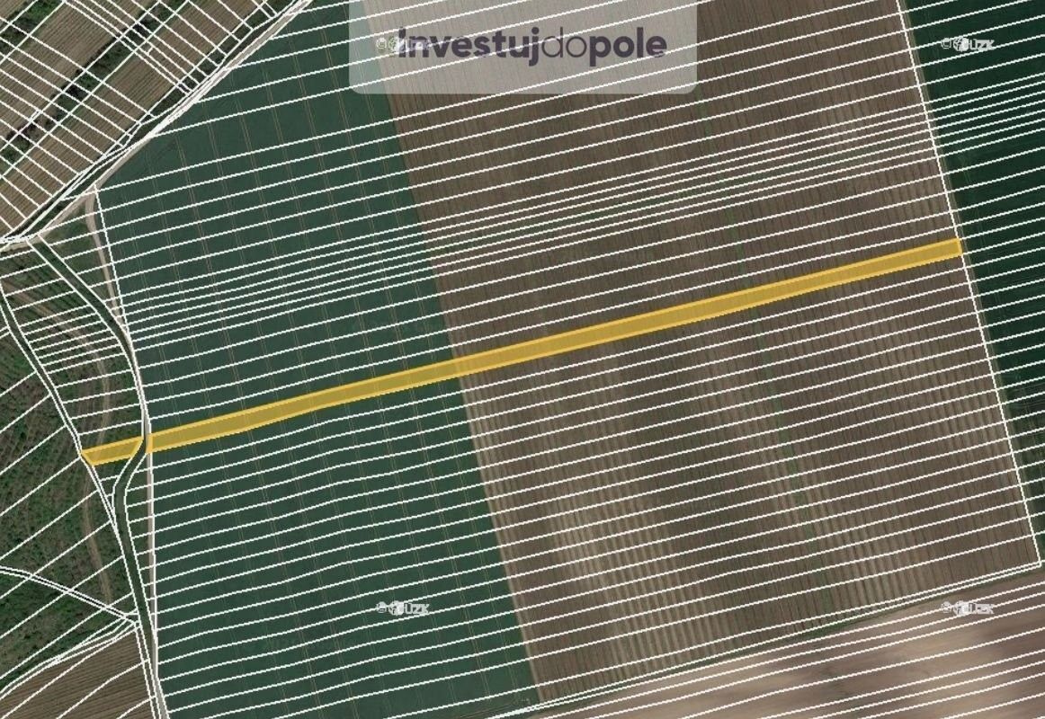 Zemědělské pozemky, Čejkovice