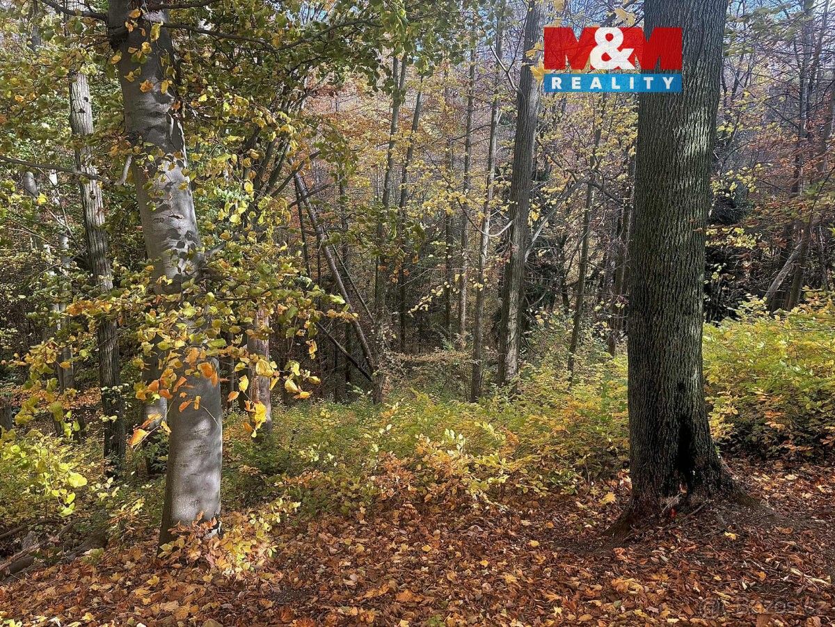 Pozemky pro bydlení, Řepníky, 538 65