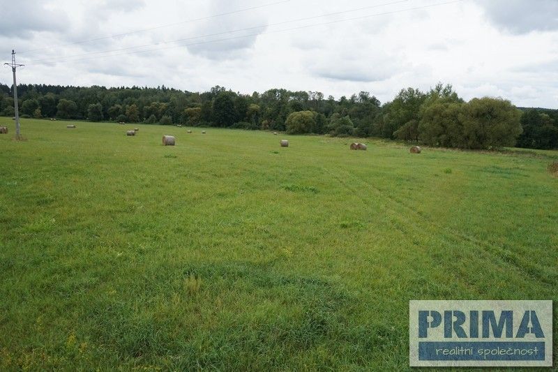 Prodej pozemek - Planá u Mariánských Lázní, 348 15, 35 722 m²