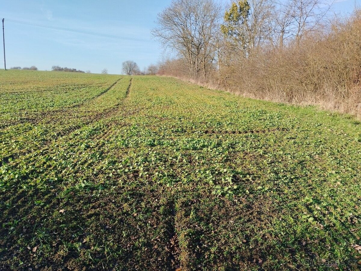 Prodej pozemek pro bydlení - Červená Řečice, 394 46, 3 690 m²