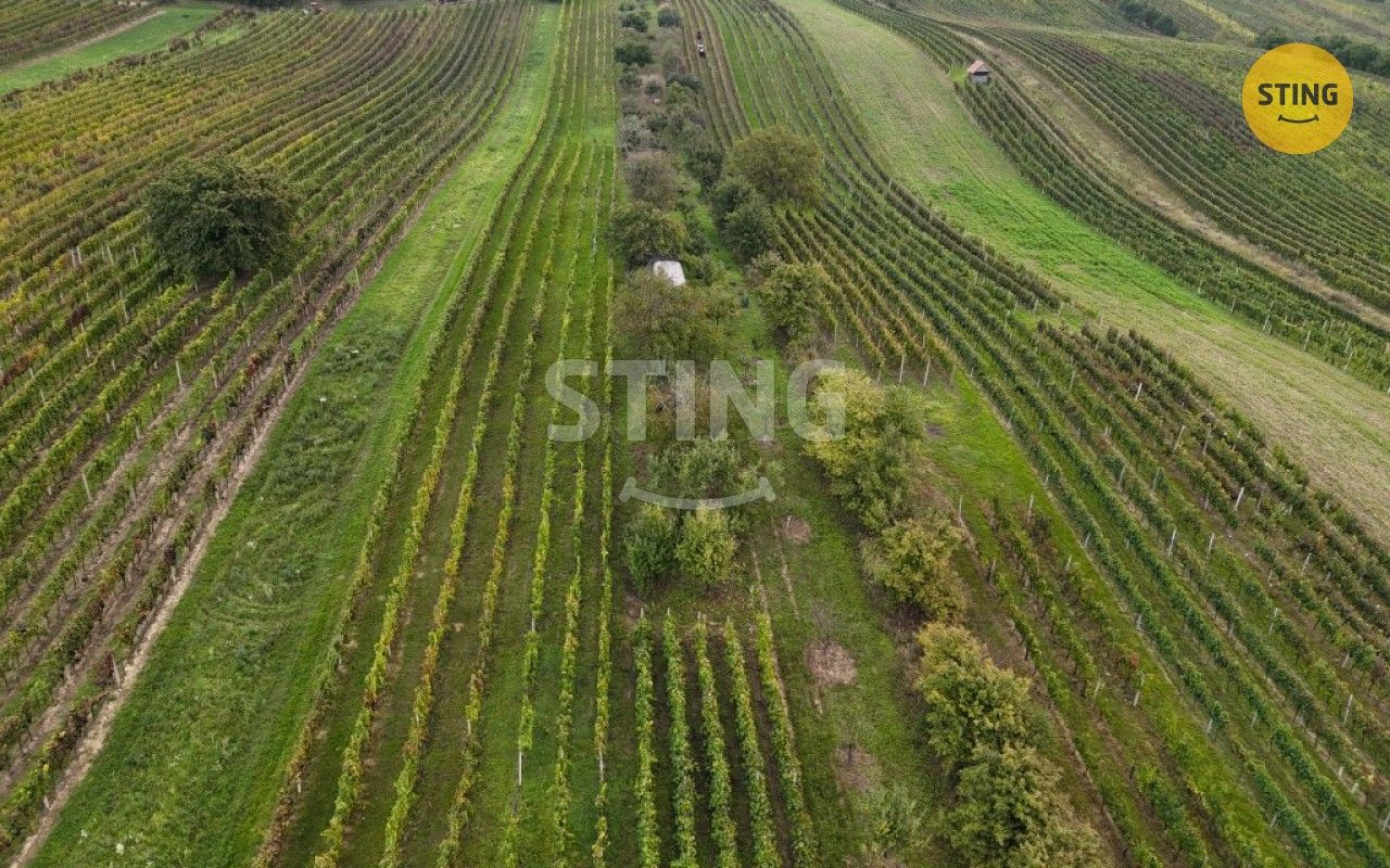 Ostatní, Čejkovice, 2 286 m²