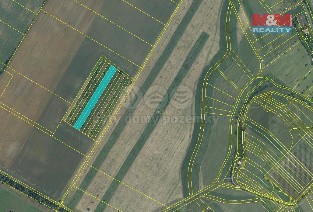 Prodej zemědělský pozemek - Pasohlávky, 691 22, 5 910 m²