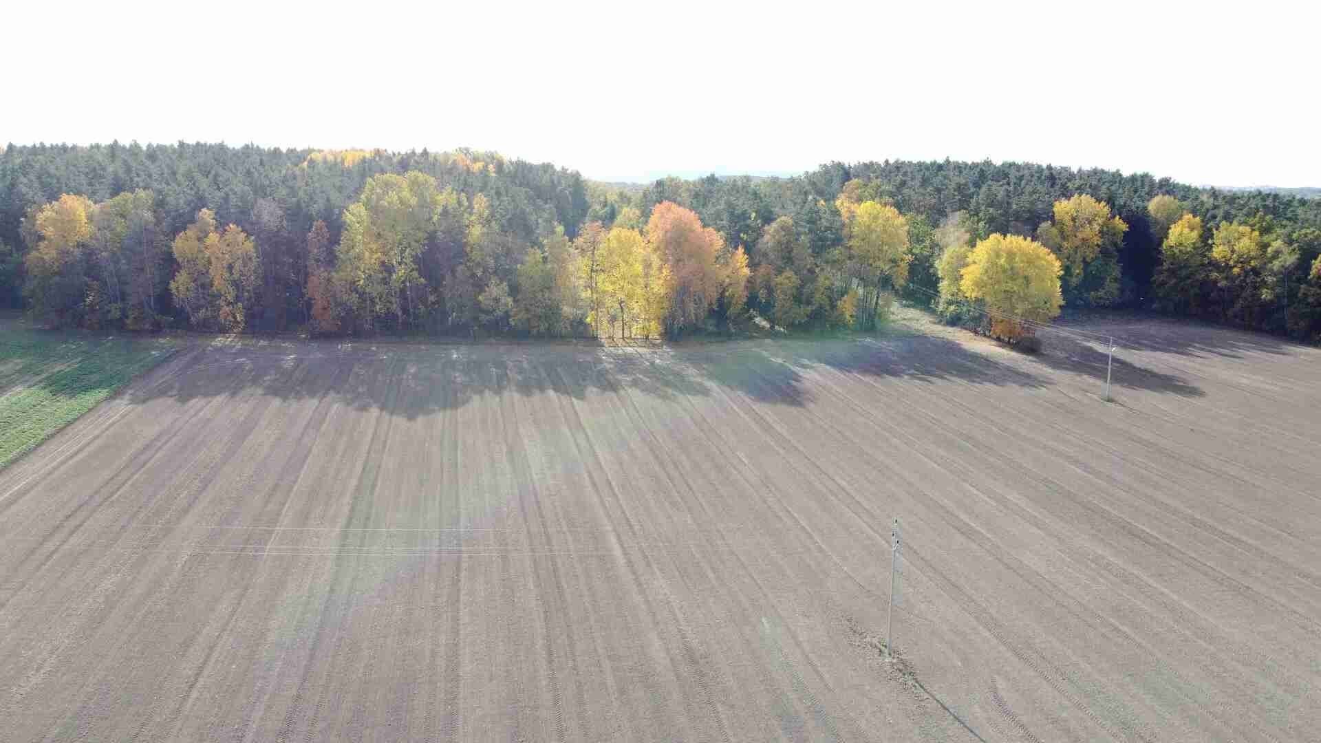 Prodej les - Dolní Stropnice, Římov, 34 621 m²