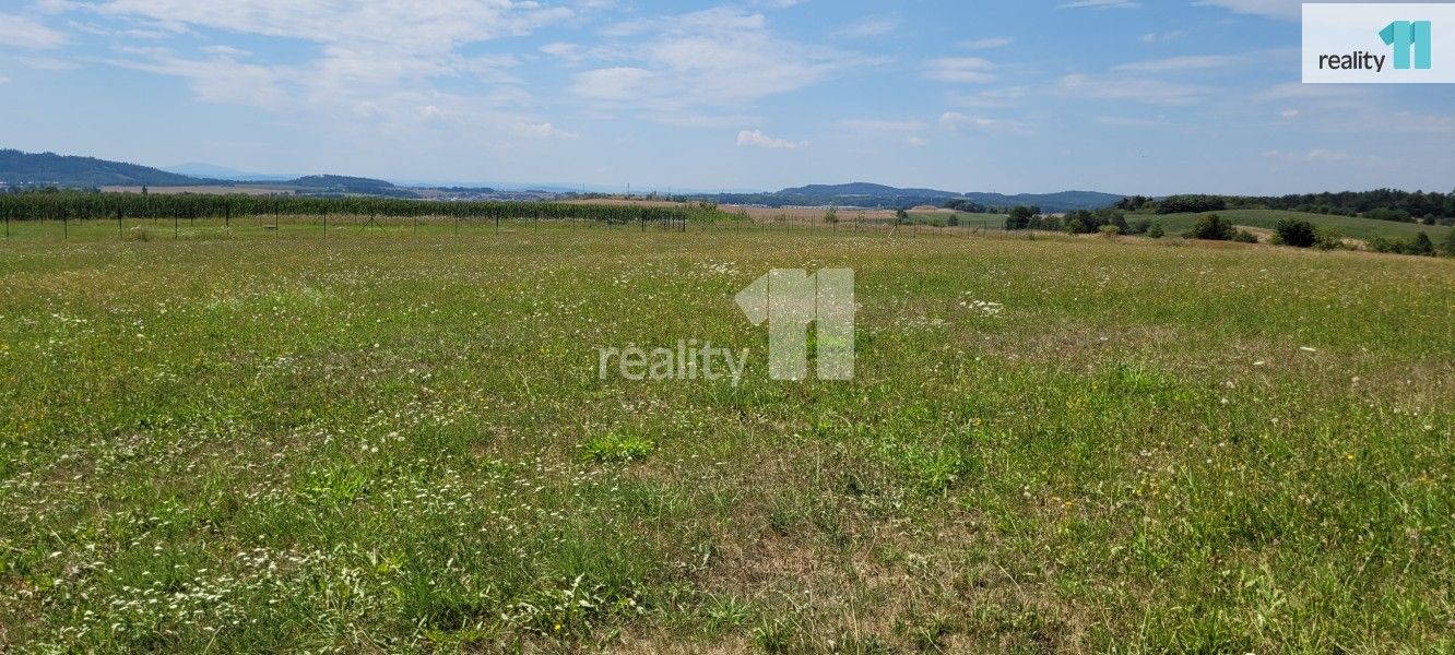 Prodej pozemek pro bydlení - Topělec, Čížová, 4 210 m²