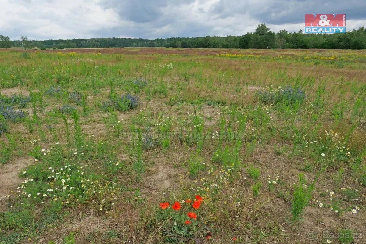 Prodej zemědělský pozemek - Ostrov nad Ohří, 363 01, 125 233 m²