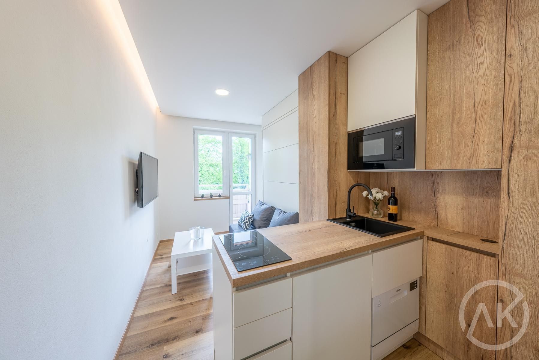 1+kk, Haškova, Opava, 17 m²