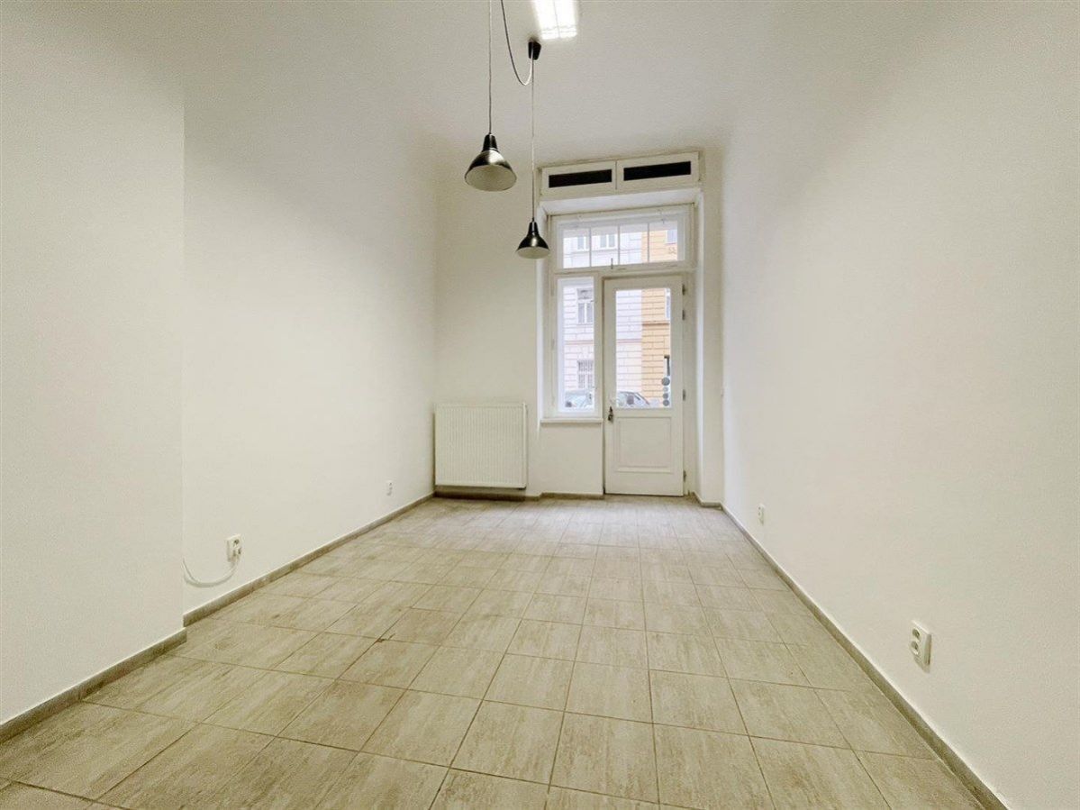 Obchodní prostory, Trojická, Praha, 42 m²