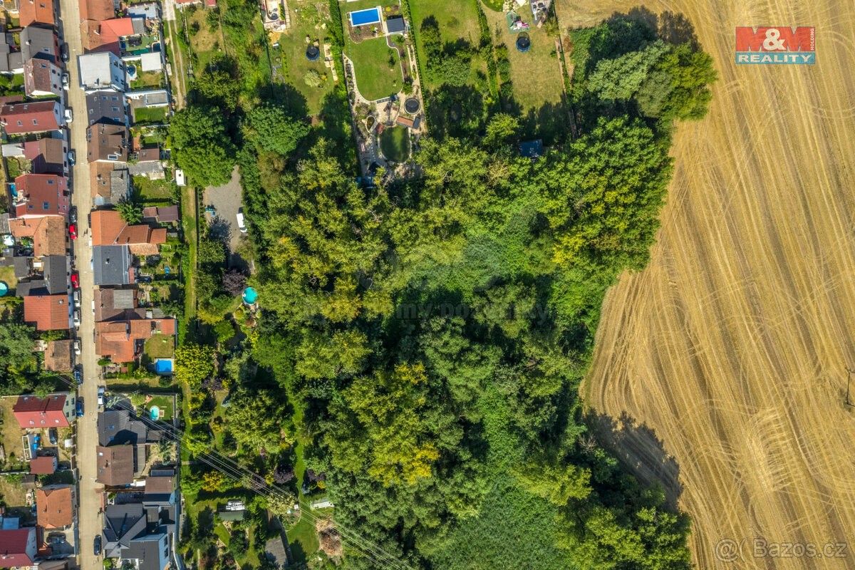 Prodej les - Kostelec nad Labem, 277 13, 10 056 m²