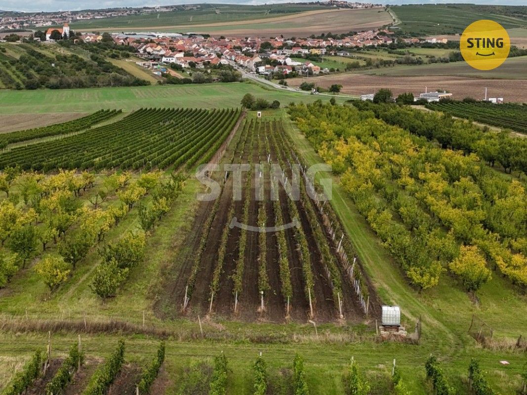 Ostatní, Velké Pavlovice, 5 m²