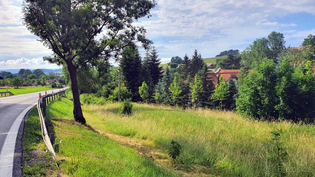 Prodej pozemek - Klatovy, 339 01, 2 667 m²