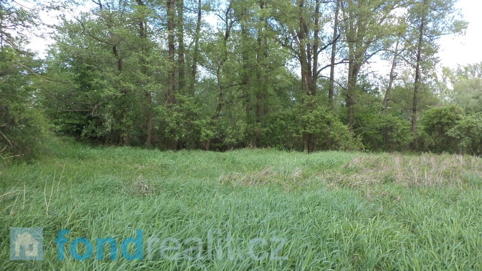 Ostatní, Koukolná, Dětmarovice, 1 m²