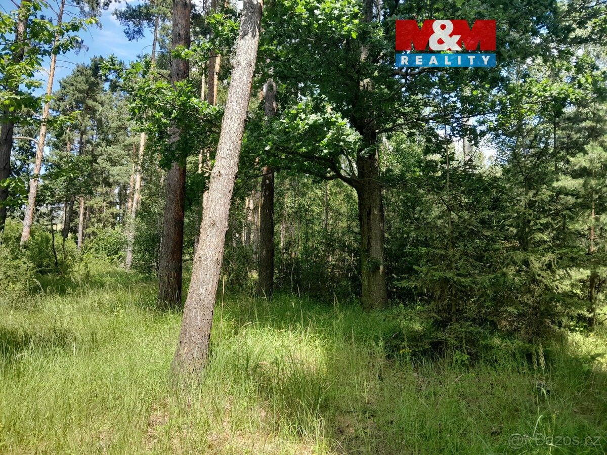 Pozemky pro bydlení, Písek, 397 01