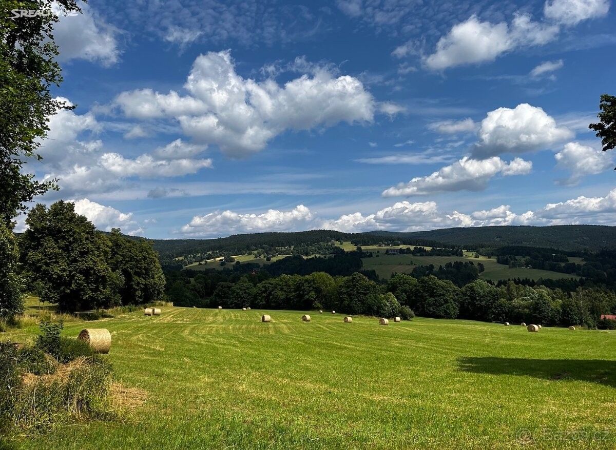 Prodej pozemek pro bydlení - Rokytnice v Orlických horách, 517 61, 13 380 m²