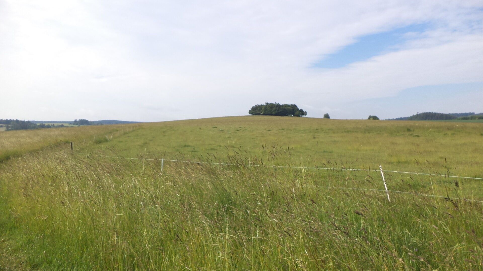 Ostatní, Horní Štěpánov, 4 m²