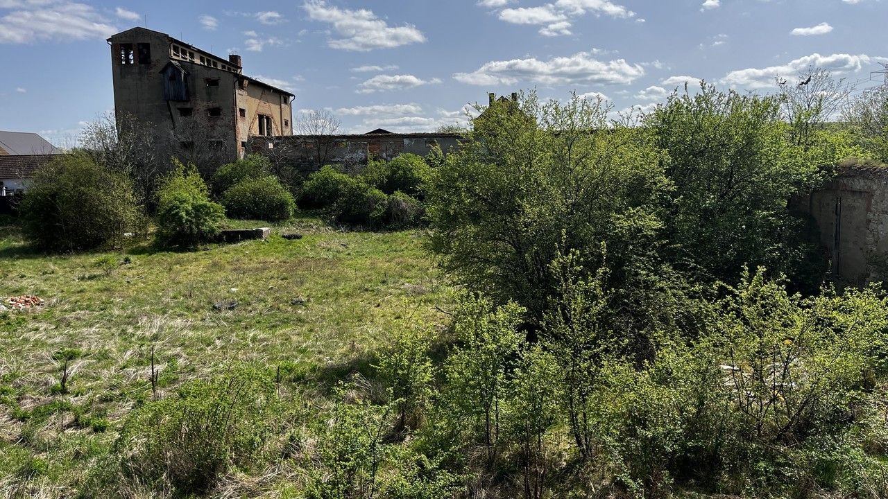 Pozemky pro bydlení, Sýrovice, Podbořany, 8 775 m²