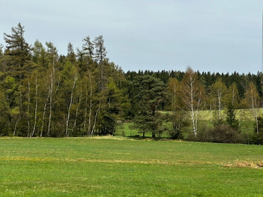 Pozemky pro bydlení, Borová u Poličky, 569 82, 4 953 m²