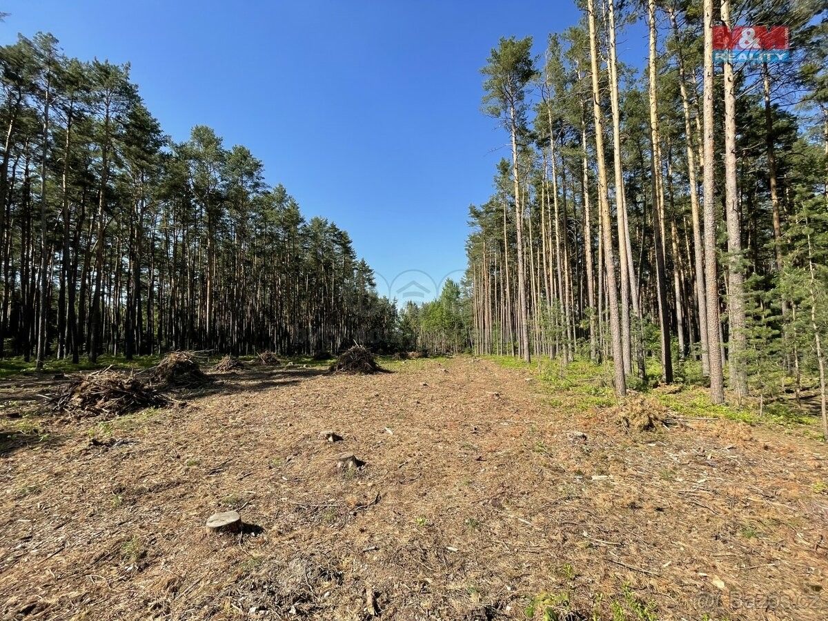 Lesy, Boršov nad Vltavou, 373 82, 16 080 m²