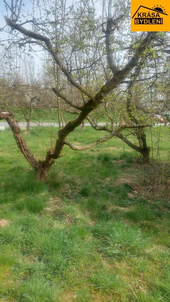 Zahrady, Slavonín, Olomouc, 390 m²