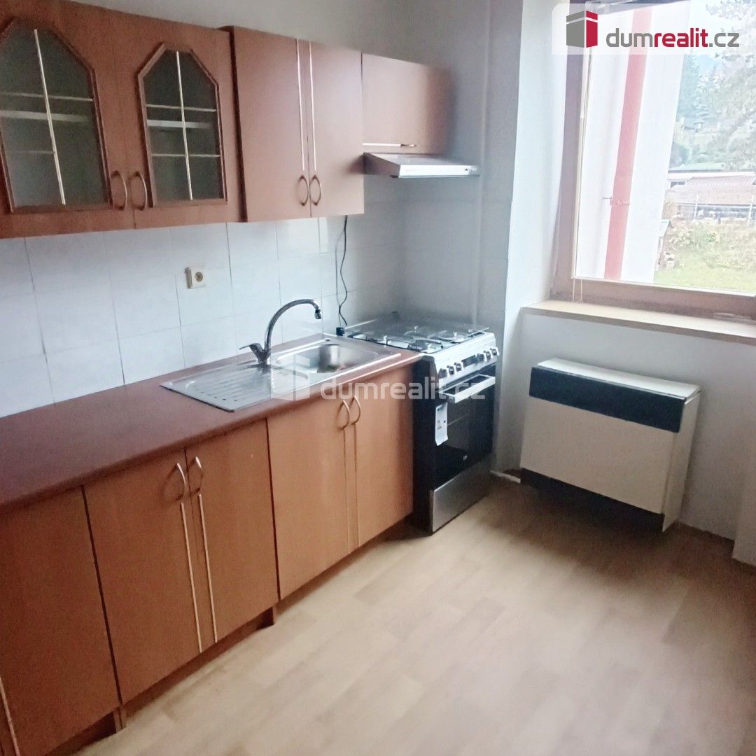 Pronájem byt 1+1 - Fibichova, Děčín, 44 m²