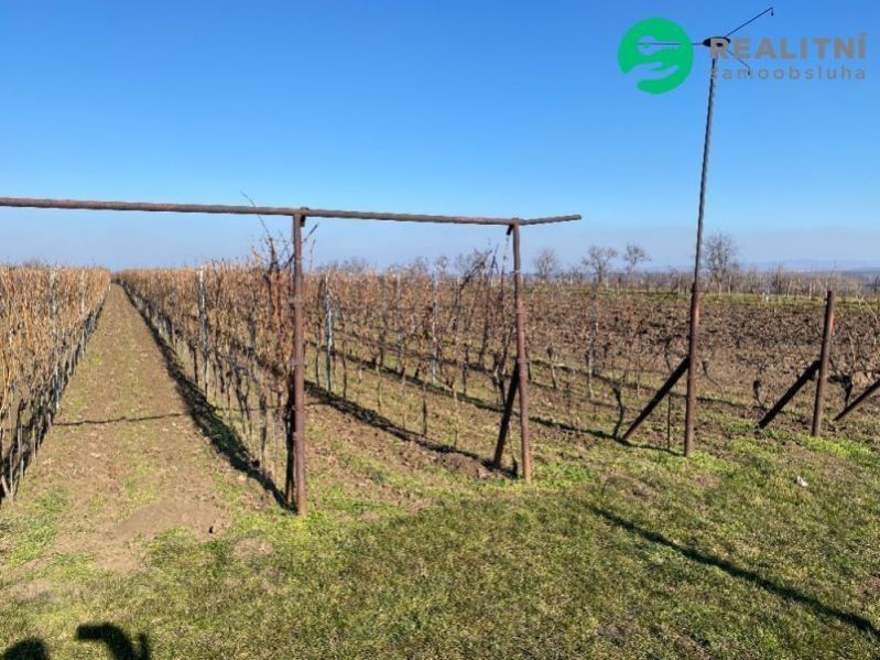 Prodej zemědělský pozemek - Na Výsluní, Moravská Nová Ves, 3 165 m²