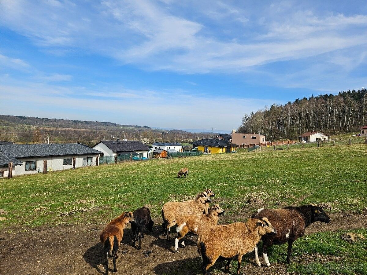 Prodej pozemek - Kynšperk nad Ohří, 357 51