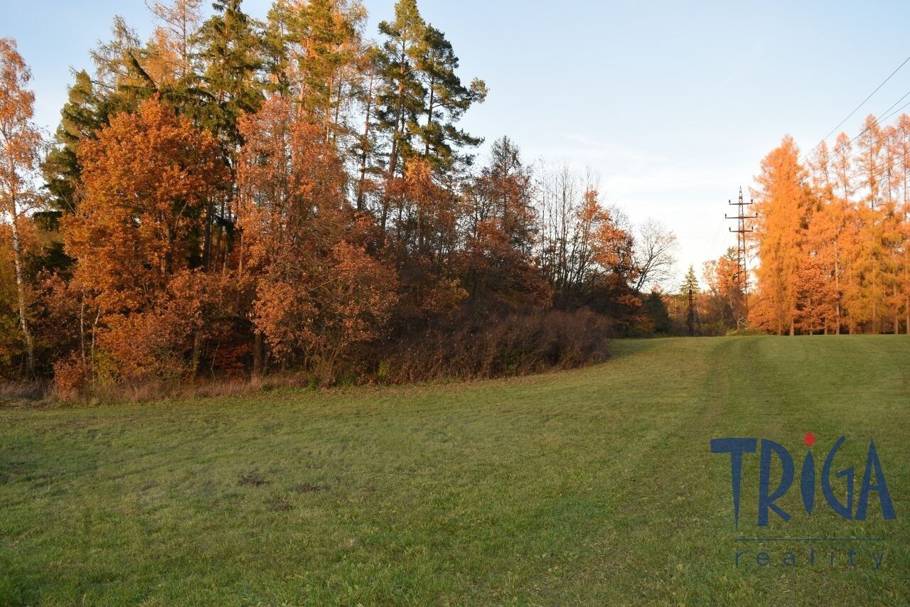 Louky, Bílá Třemešná, 1 m²