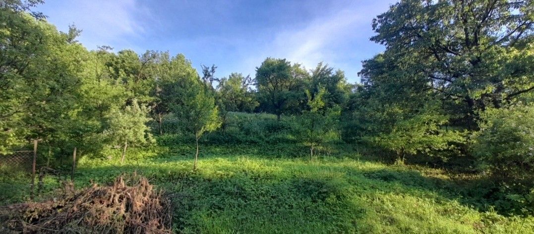 Zahrady, Bohdalice, 683 41