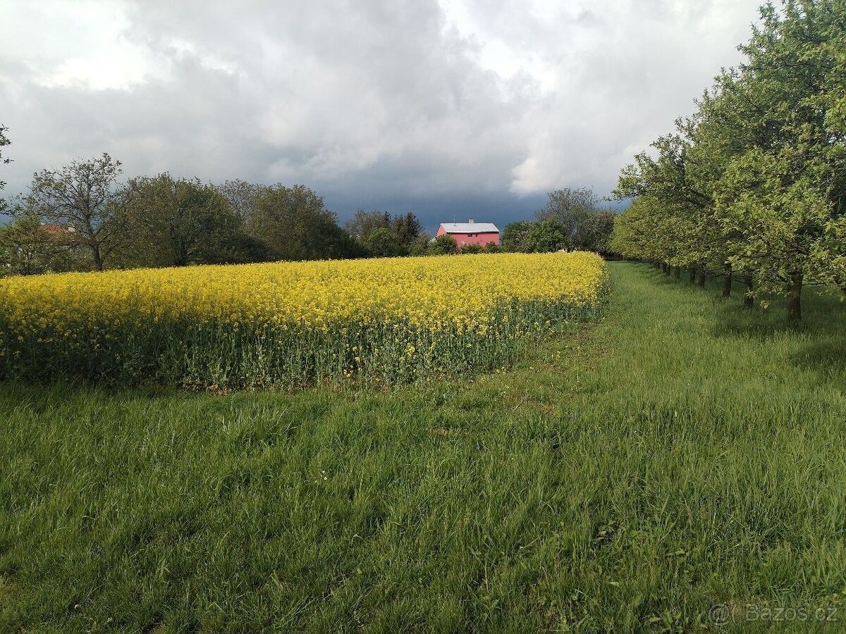 Prodej pozemek pro bydlení - Soběchleby, 753 54