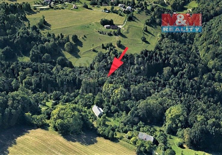 Lesy, Železný Brod, 468 22, 2 062 m²