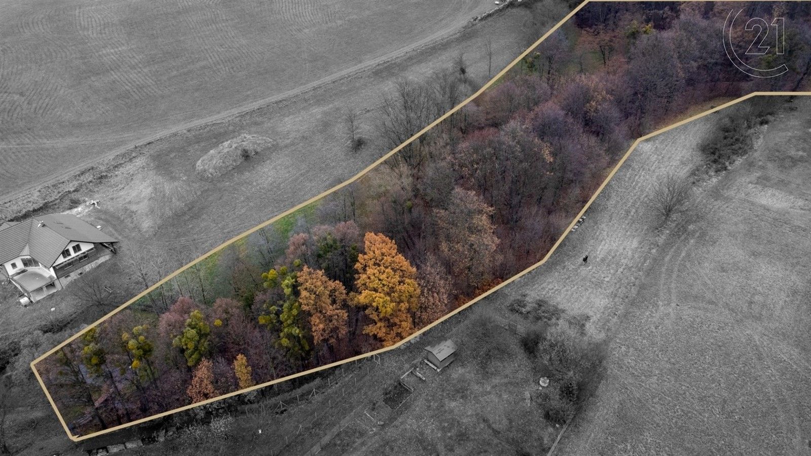 Prodej les - Žilina, Nový Jičín