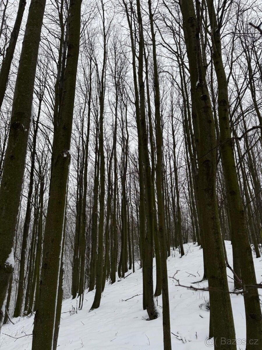 Pozemky pro bydlení, Nový Jičín, 741 01