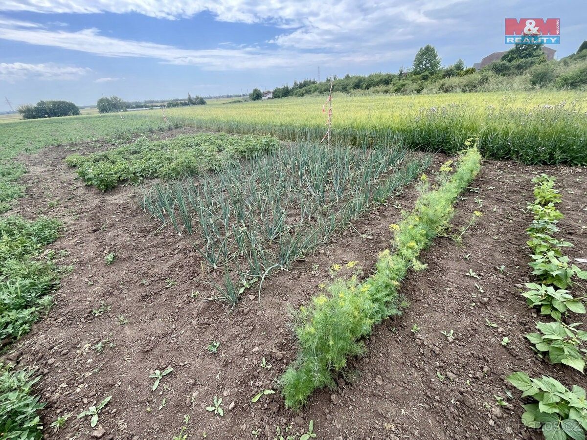 Prodej zemědělský pozemek - Mratín, 250 63, 3 565 m²