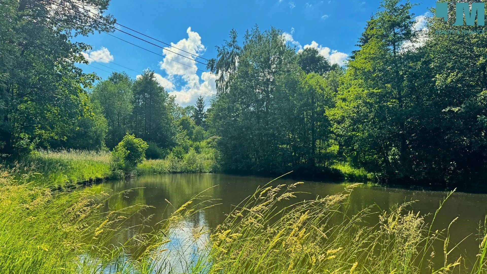 Prodej pozemek - Roženecké Paseky, Věcov, 10 176 m²