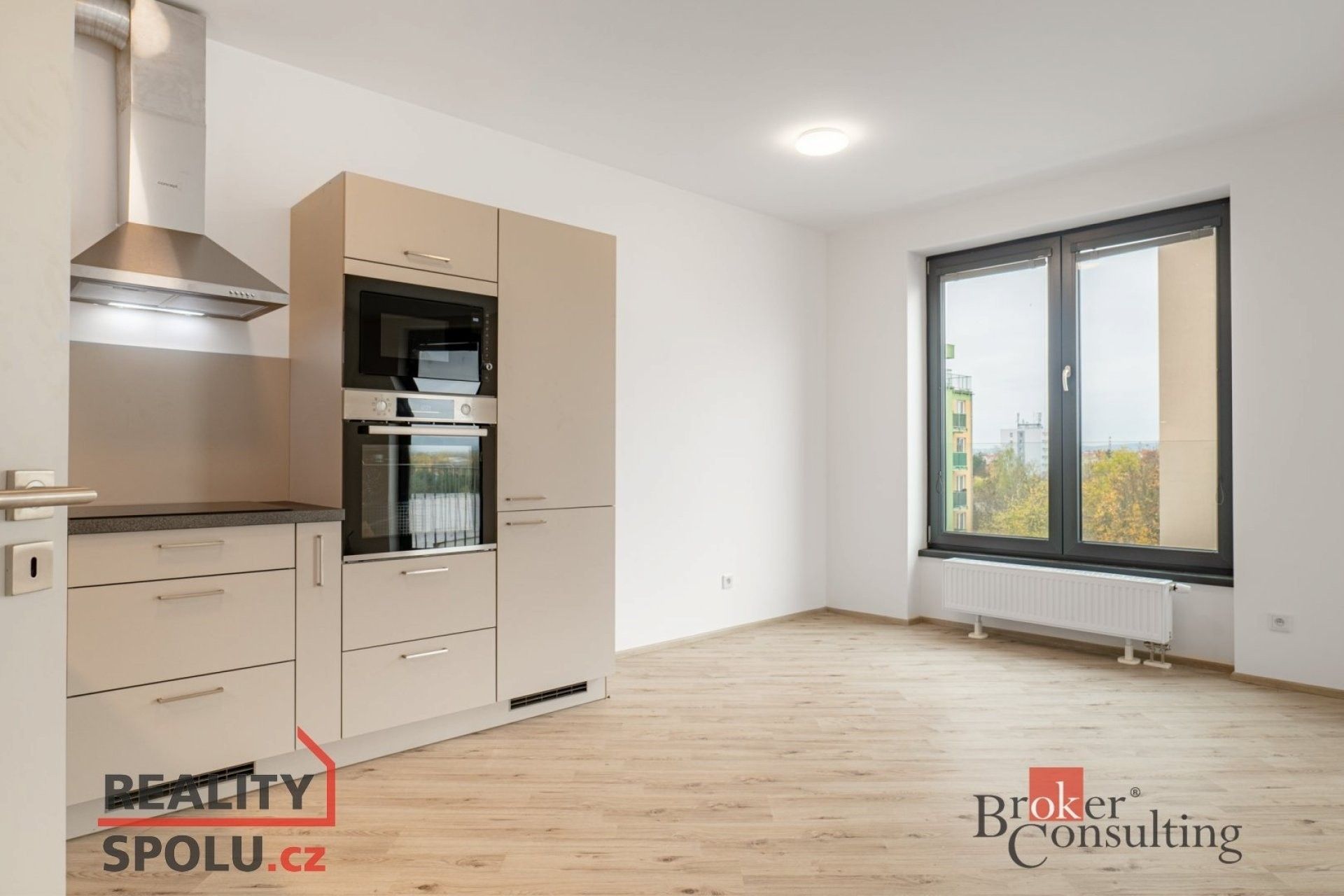 2+kk, Goldscheiderova, Plzeň, 52 m²