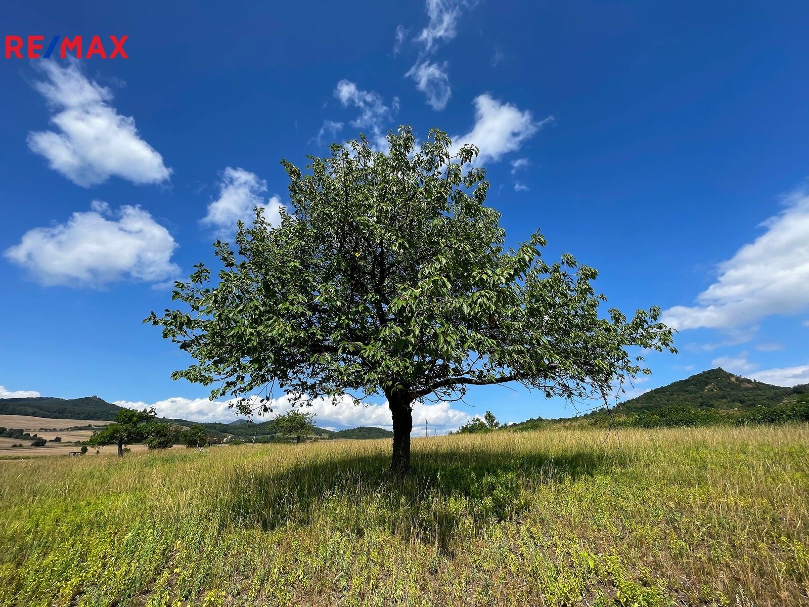 Prodej pozemek pro bydlení - Podsedice, 4 847 m²