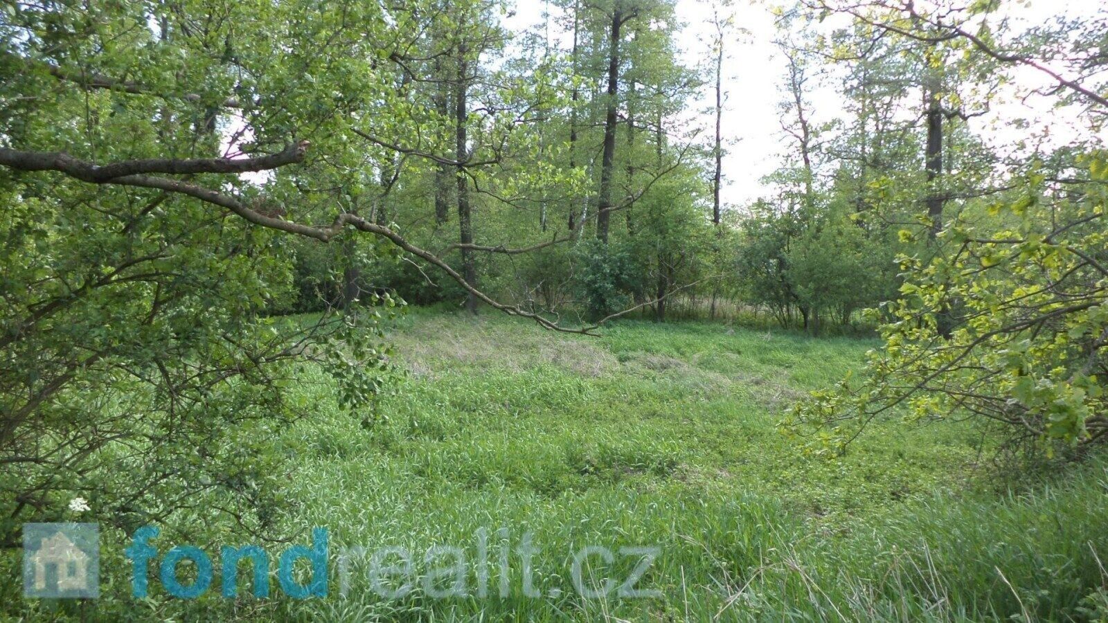 Prodej pozemek - Koukolná, Dětmarovice, 1 m²