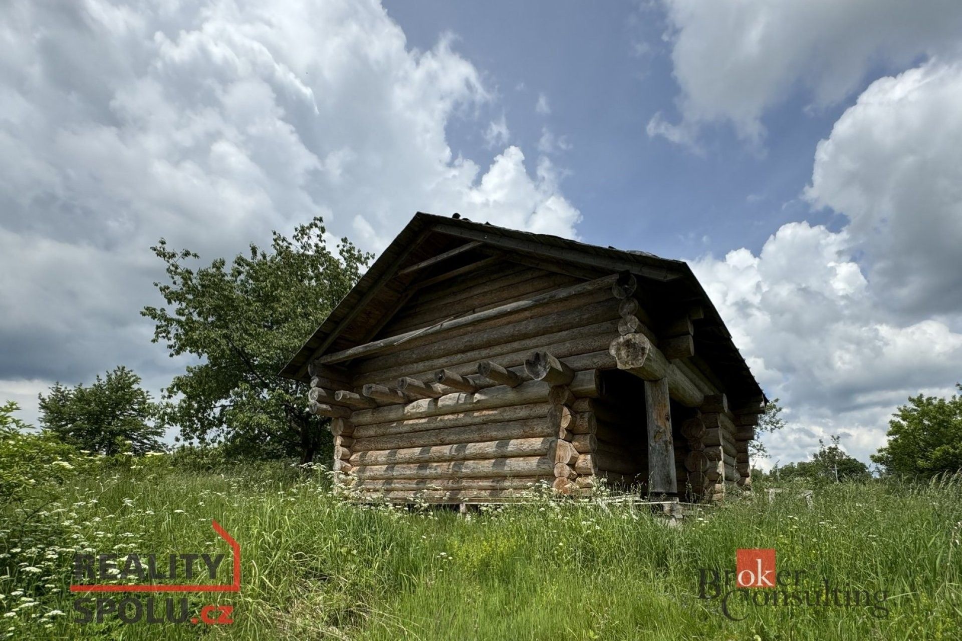 Prodej pozemek pro bydlení - Kříženec, Šebířov, 11 572 m²