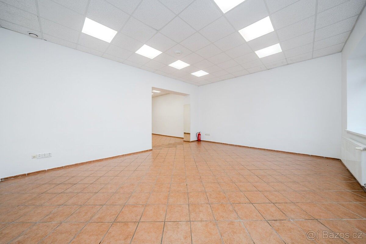 Ostatní, Hlučín, 748 01