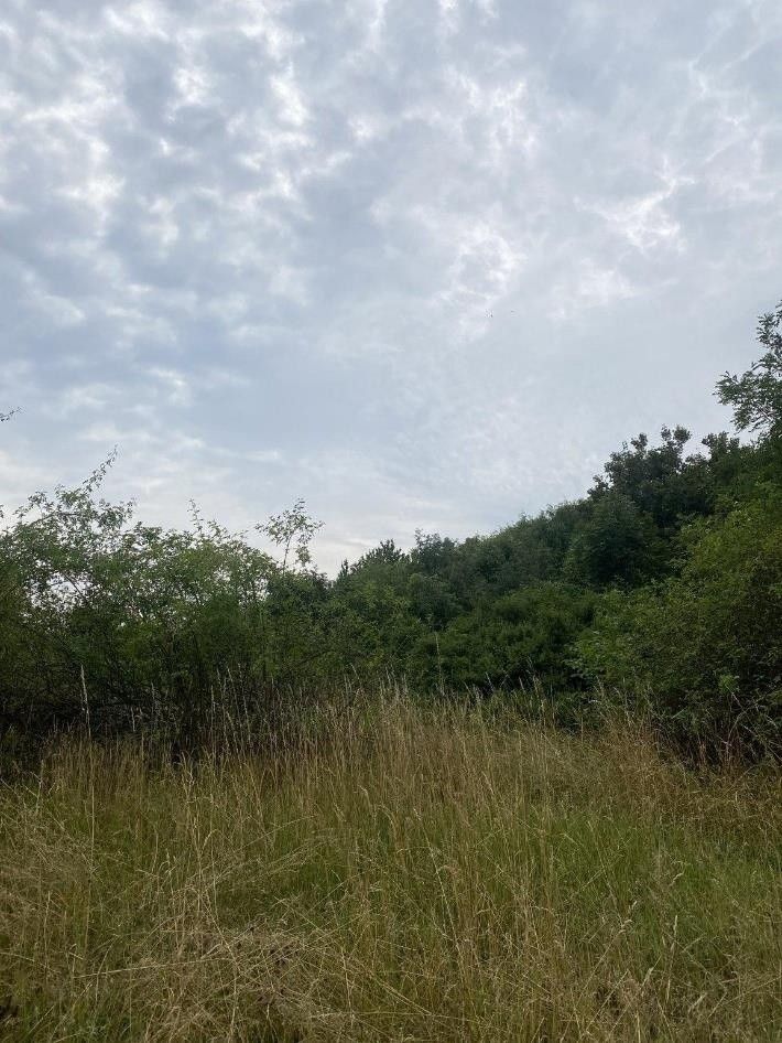 Pozemky pro bydlení, Praha, 140 00