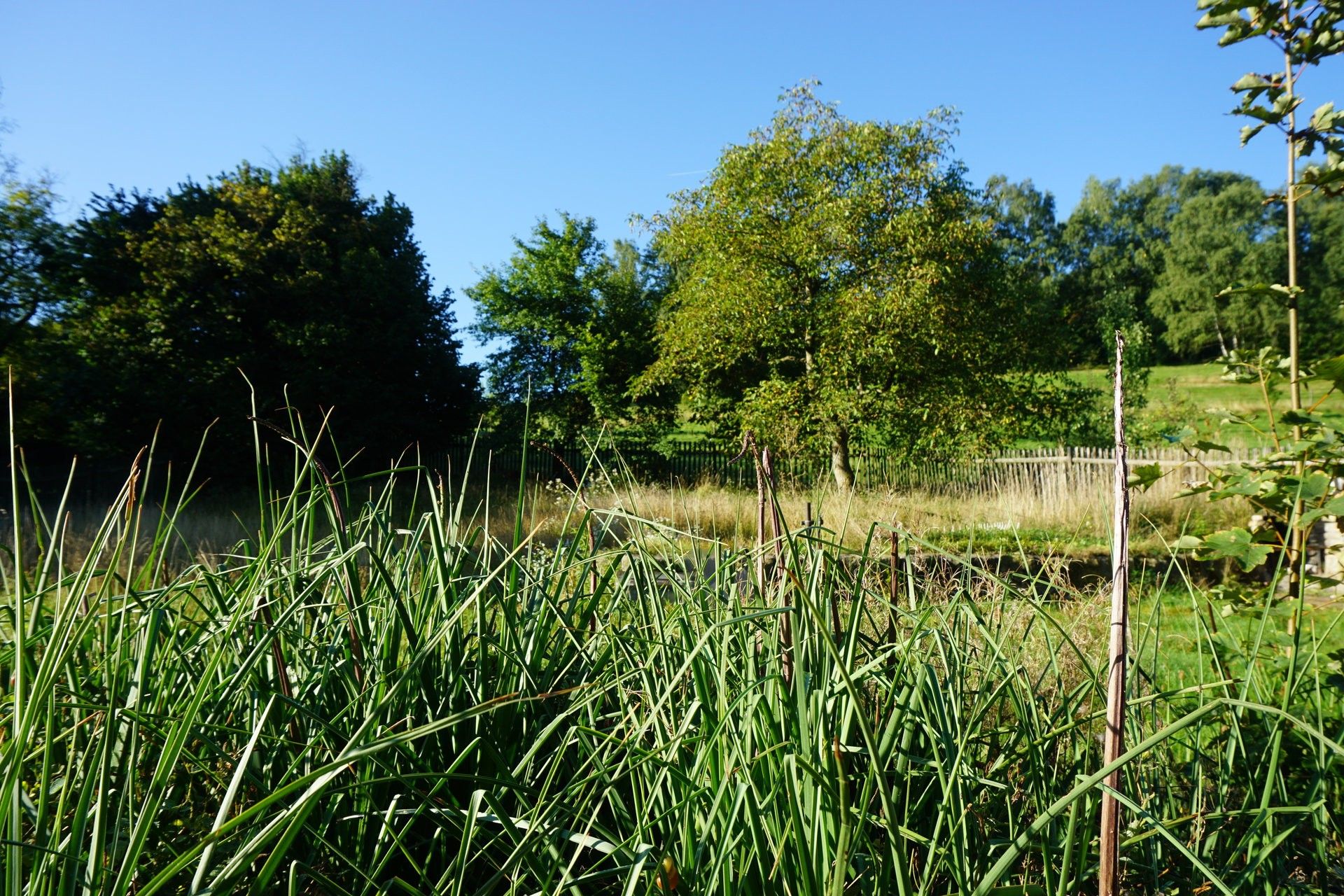 Rodinné domy, Nepřevázka, 90 m²