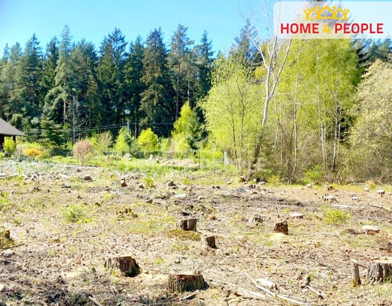 Prodej pozemek pro bydlení - Láz, 2 392 m²