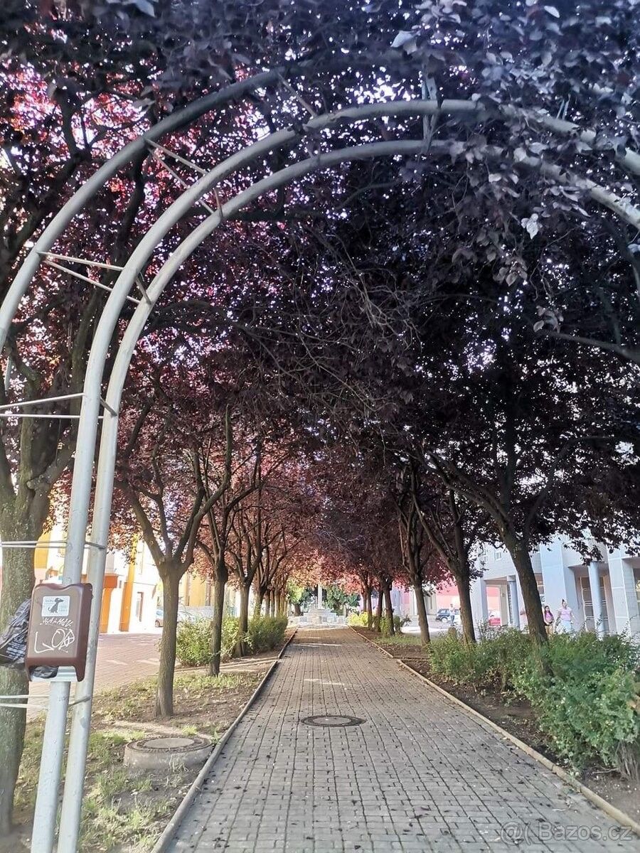 Pronájem ostatní - Praha, 198 00